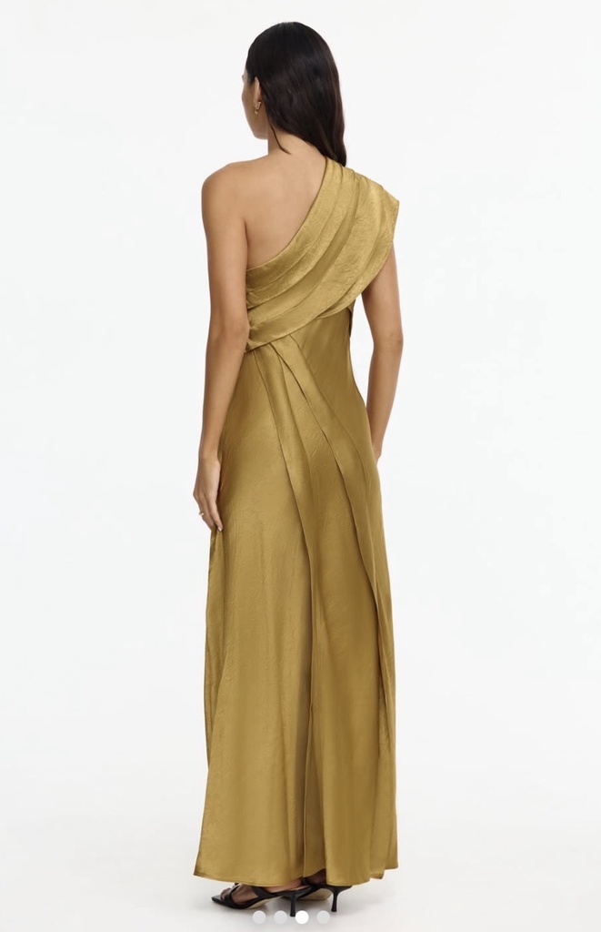 Bleenfleet Maxi Dress