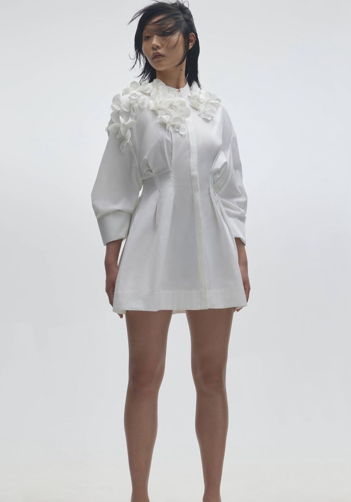 Rannoch Mini Dress